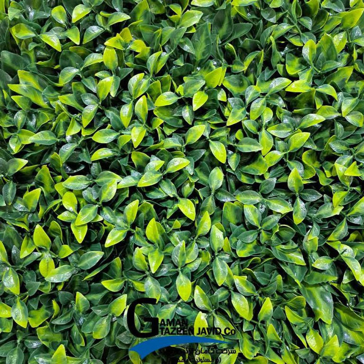 گرین وال(دیوار سبز) برگ ریحون 50در50 cm پرتراکم گامان(پس کرایه)