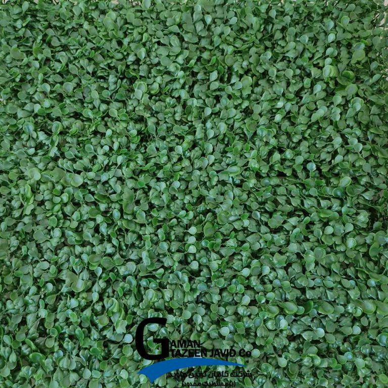 گرین وال(دیوار سبز) برگ شبدر 50در50 cm پرتراکم گامان(پس کرایه)