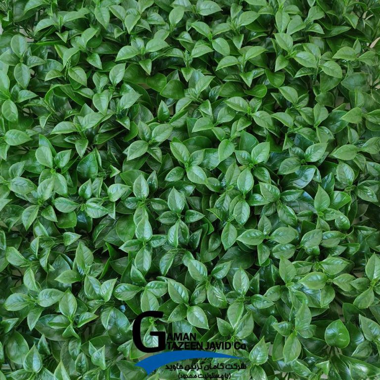 گرین وال(دیوار سبز) برگ پرتقالی 50در50 cm پرتراکم گامان(پس کرایه)