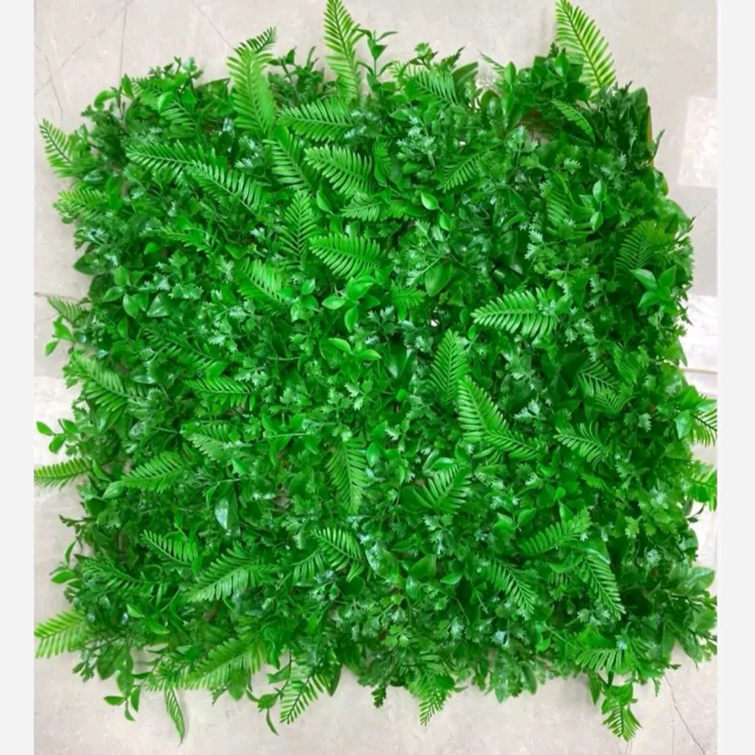 گرین وال برگ سیکاس گشنیز ابعاد 50در50 cm (دیوار سبز/گرینوال)(پس کرایه)