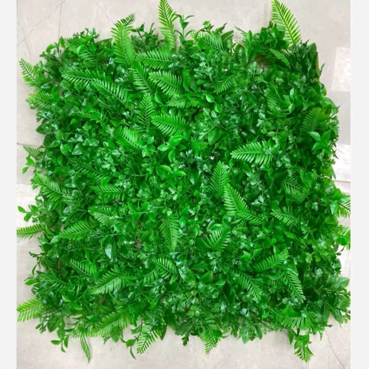 گرین وال برگ سیکاس گشنیز ابعاد 50در50 cm (دیوار سبز/گرینوال)(پس کرایه)