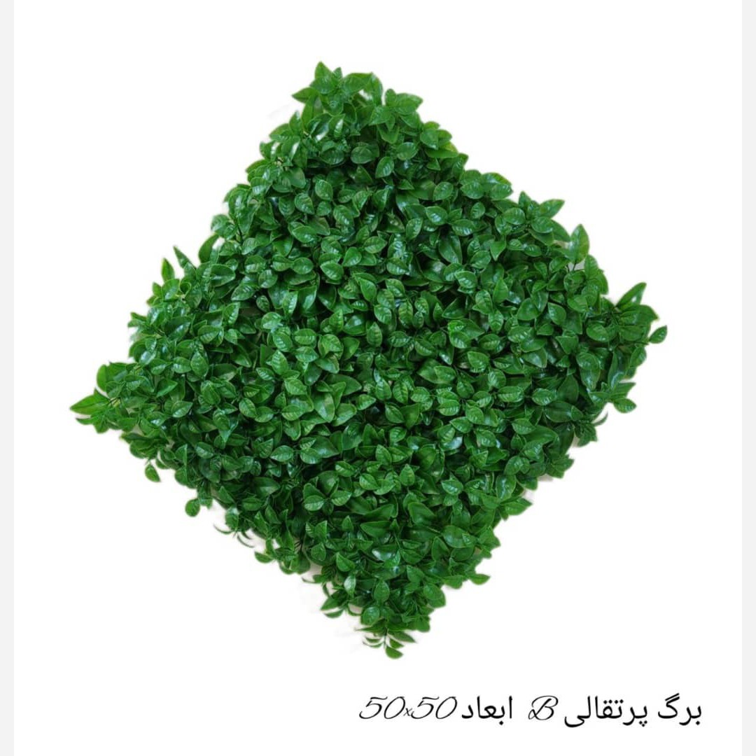 گرین وال(دیوار سبز) برگ پرتقالی 50در50 cm پرتراکم رویال سبز(پس کرایه)