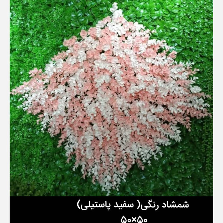 گرین وال(دیوار سبز) شمشاد سفیدپاستیلی 50در50 cm پرتراکم رویال سبز(پس کرایه)