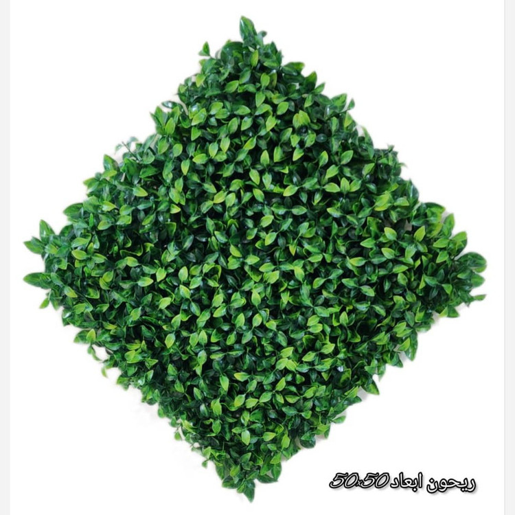 گرین وال (دیوار سبز) ریحون یا ریحان 50در50 cm پرتراکم رویال سبز(پس کرایه)