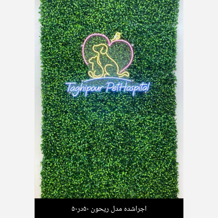 گرین وال (دیوار سبز) ریحون یا ریحان 50در50 cm پرتراکم رویال سبز(پس کرایه)