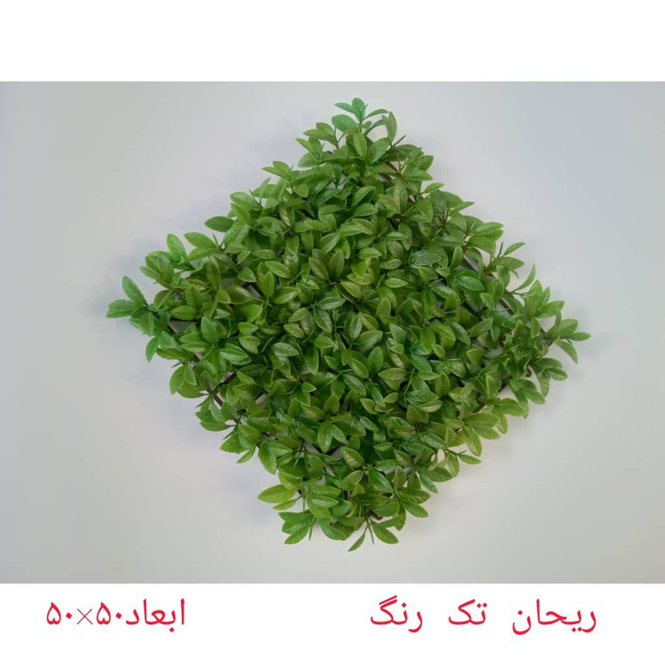 گرین وال (دیوار سبز) ریحان تک رنگ 50در50 cm (پس کرایه)