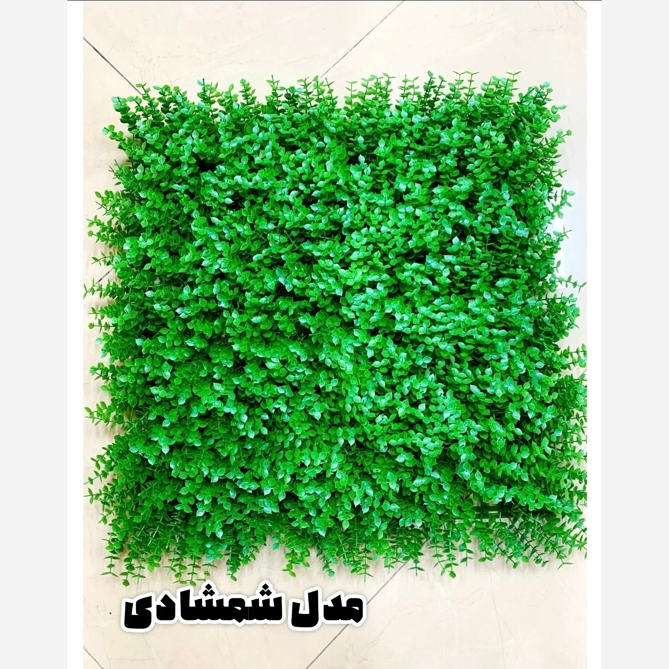 گرین وال (دیوار سبز) شمشاد گل ریز 50در50 cm (پس کرایه)