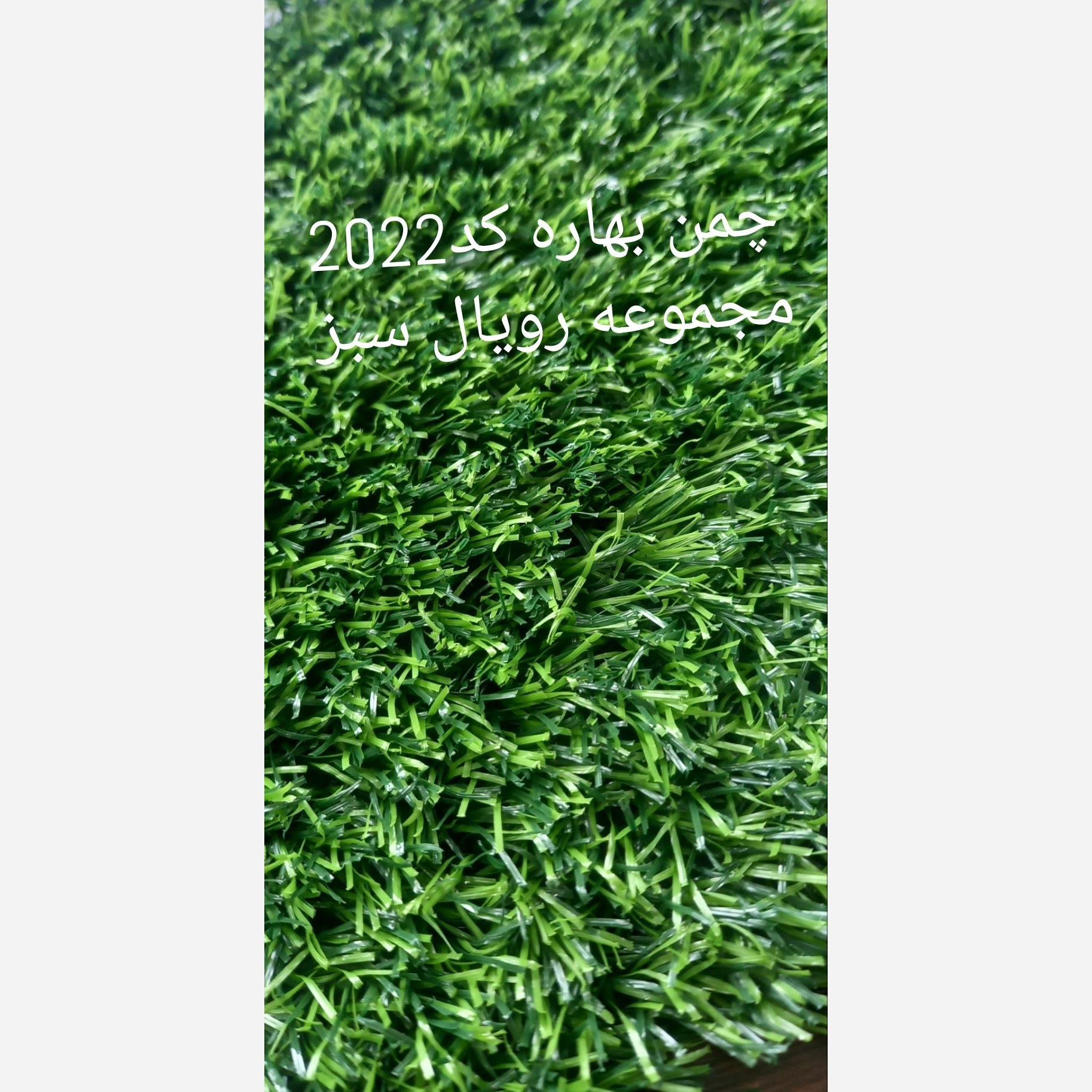 چمن مصنوعی 20میل کد 2022 بهاره 2بافت رویال سبز (پسکرایه)