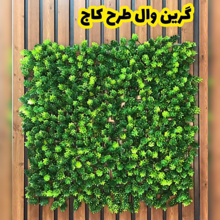 گرین وال کاج پرتراکم (دیوار سبز) ابعاد 50در50 cm (پس کرایه)