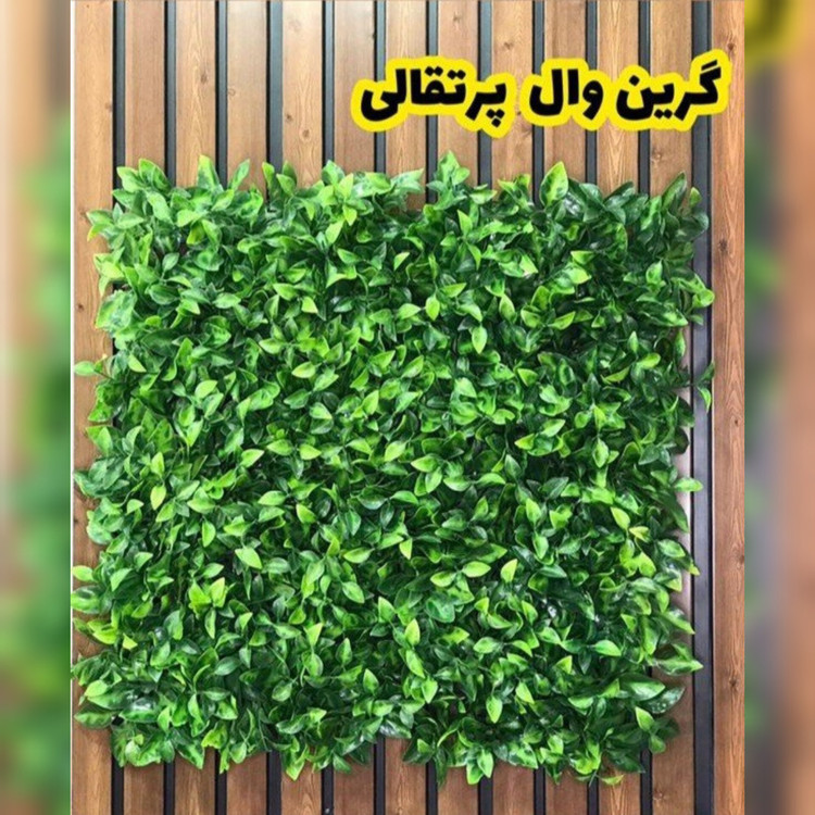 گرین وال پرتقالی پرتراکم (دیوار سبز) ابعاد 50در50 cm (پس کرایه)