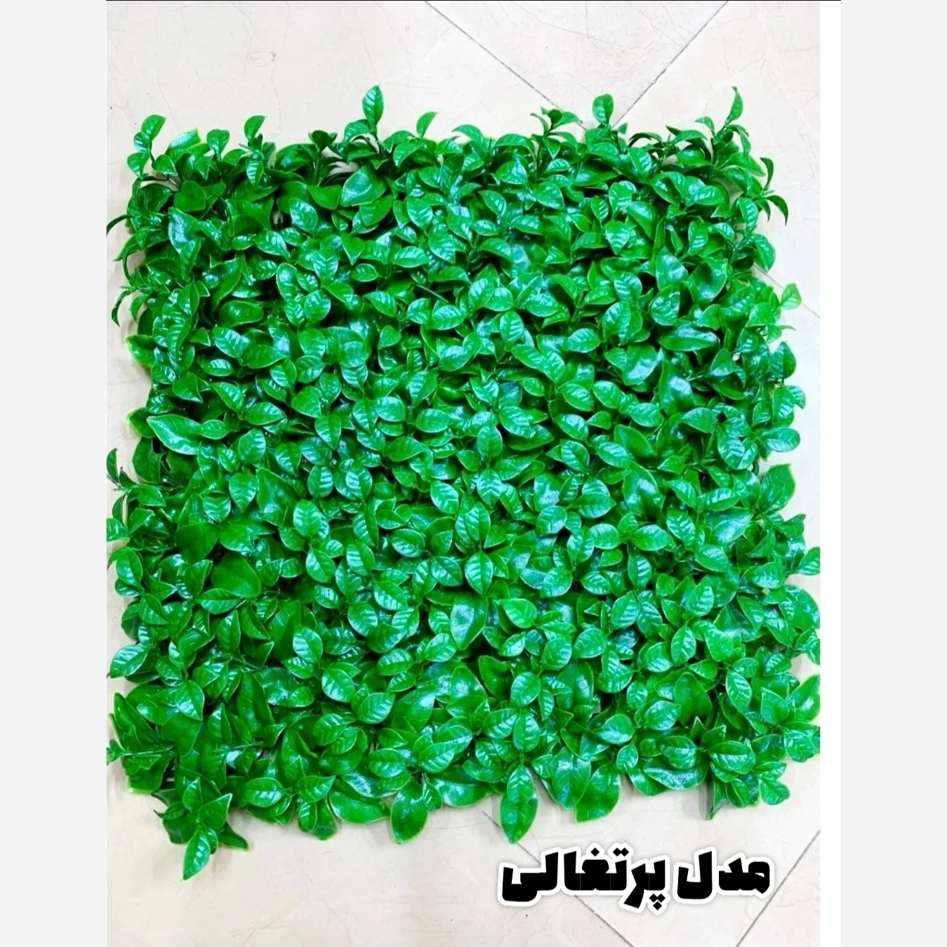 گرین وال پرتقالی پرتراکم (دیوار سبز) ابعاد 50در50 cm (پس کرایه)