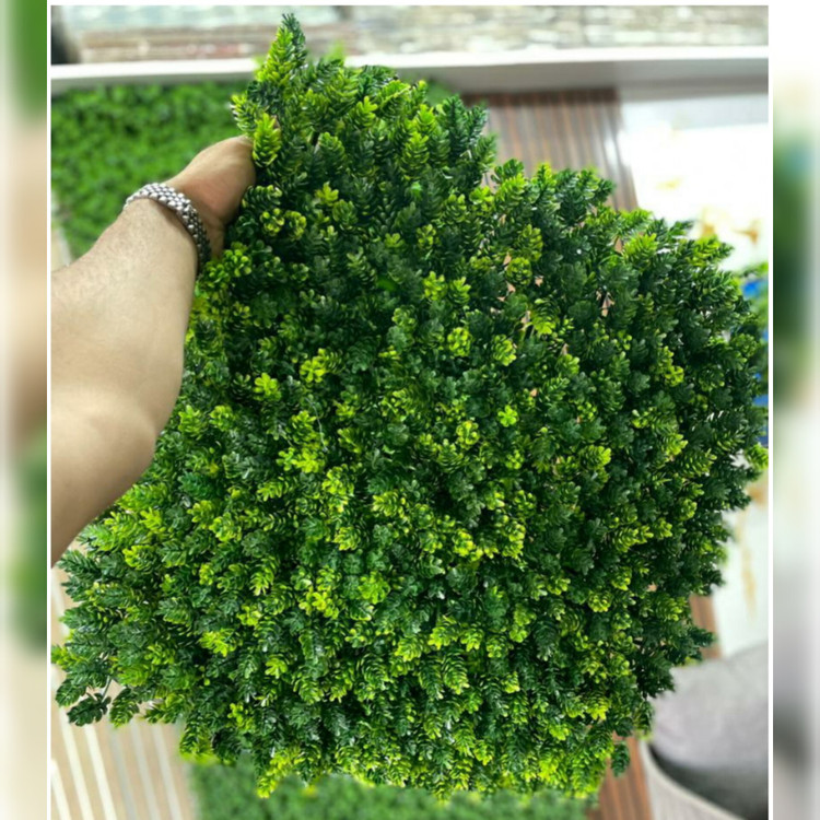 گرین وال کاج پرتراکم (دیوار سبز) ابعاد 50در50 cm (پس کرایه)