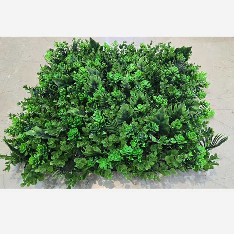 گرین وال (استوایی) پرتراکم،UVدار، وارداتی ابعاد 50در50 cm، یو وی دار، جنس درجه1 گامان (دیوارسبز) (پس کرایه)