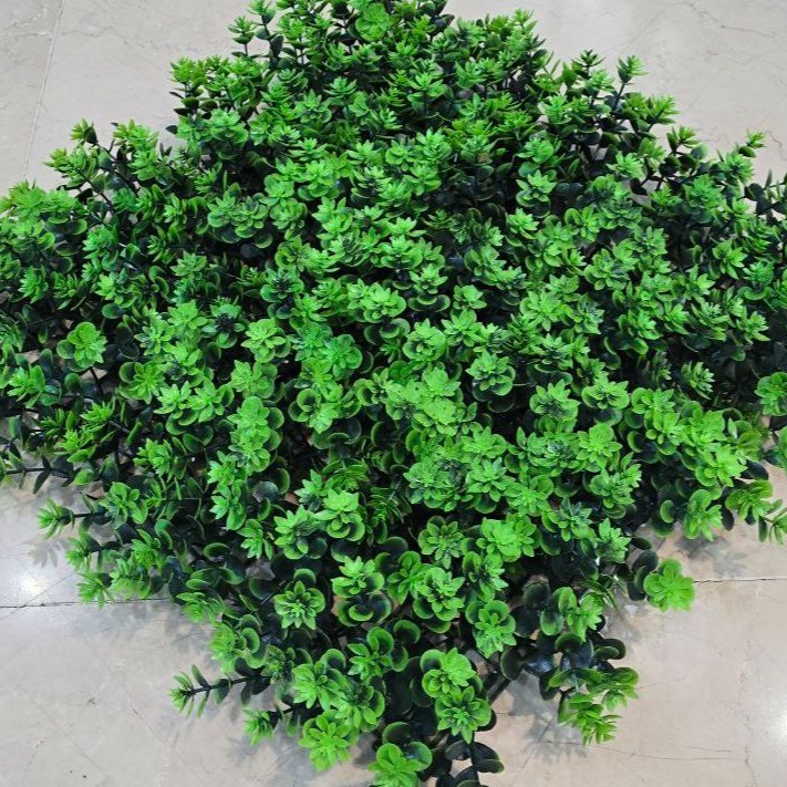 گرین وال (کد 22) ابعاد 50در50 cm، گامان(دیوارسبز) (پس کرایه)