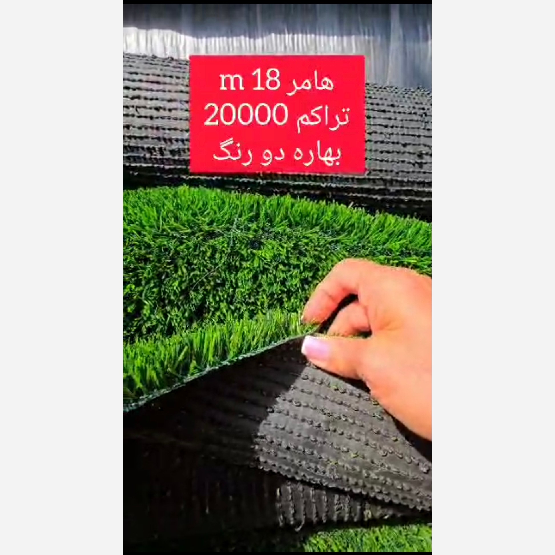 چمن مصنوعی هامر بهاره 18میل تراکم 20000 دو رنگ عرض 1متر (پسکرایه)