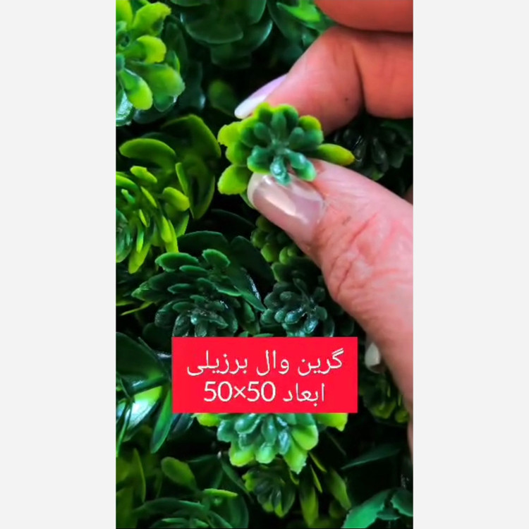 گرین وال برزیلی ابعاد 50در50 cm (دیوار سبز/گرینوال)(پسکرایه)