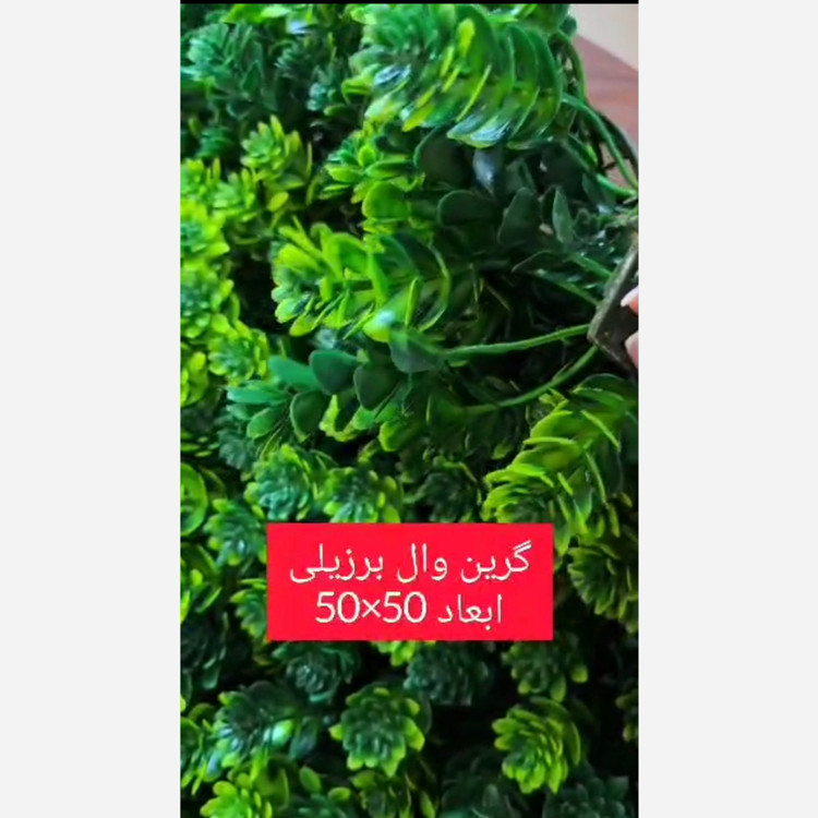 گرین وال برزیلی ابعاد 50در50 cm (دیوار سبز/گرینوال)(پسکرایه)