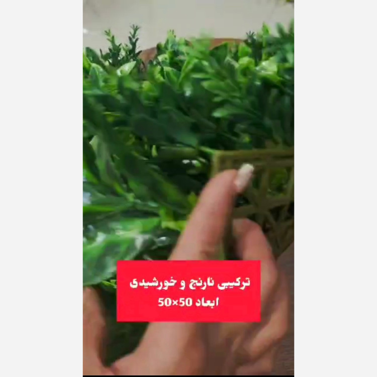 گرین وال ترکیبی نارنج و خورشیدی ابعاد 50در50 cm (دیوار سبز/گرینوال)(پسکرایه)