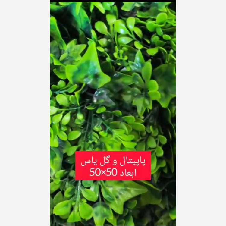 گرین وال پاپیتال و گل یاس ابعاد 50در50 cm (دیوار سبز/گرینوال)(پس کرایه)