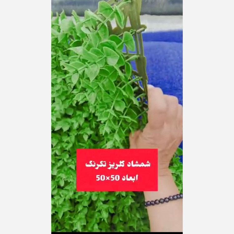 گرین وال شمشاد تک رنگ ابعاد 50در50 cm (دیوار سبز/گرینوال)(پسکرایه)