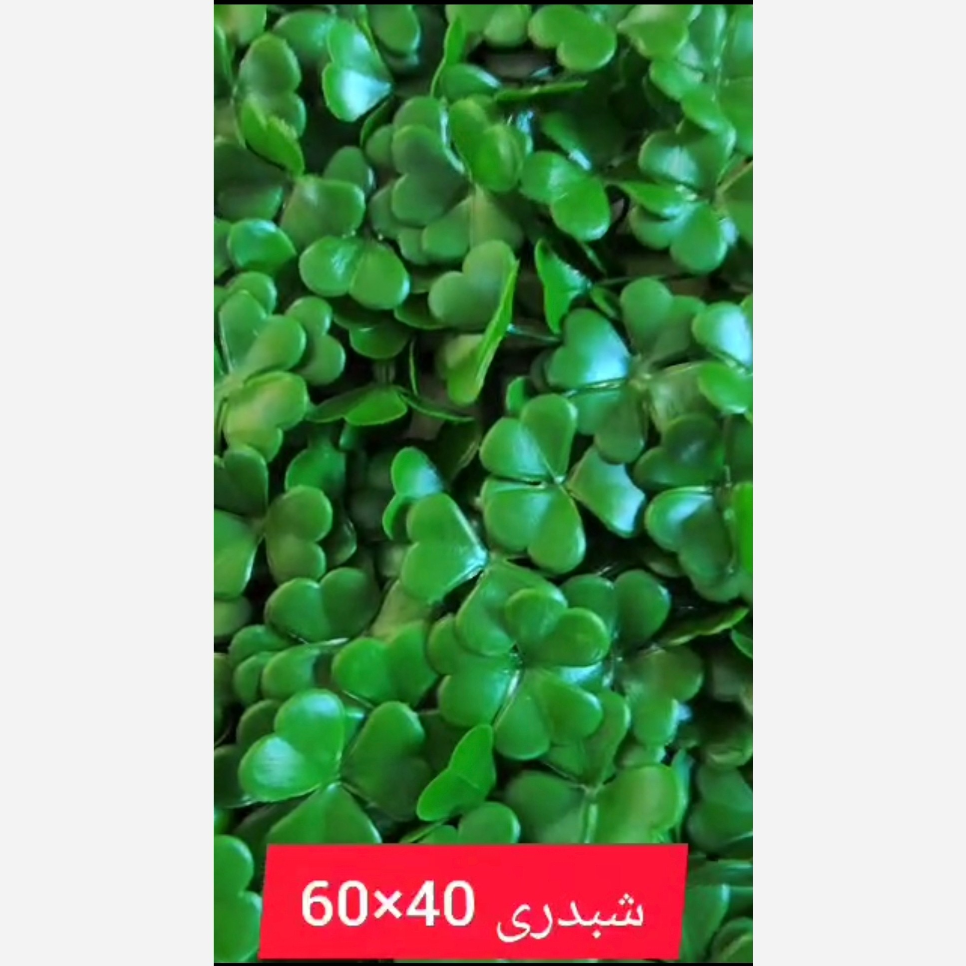گرین وال شبدری ابعاد 40در60 cm (دیوار سبز/گرینوال)(پس کرایه)