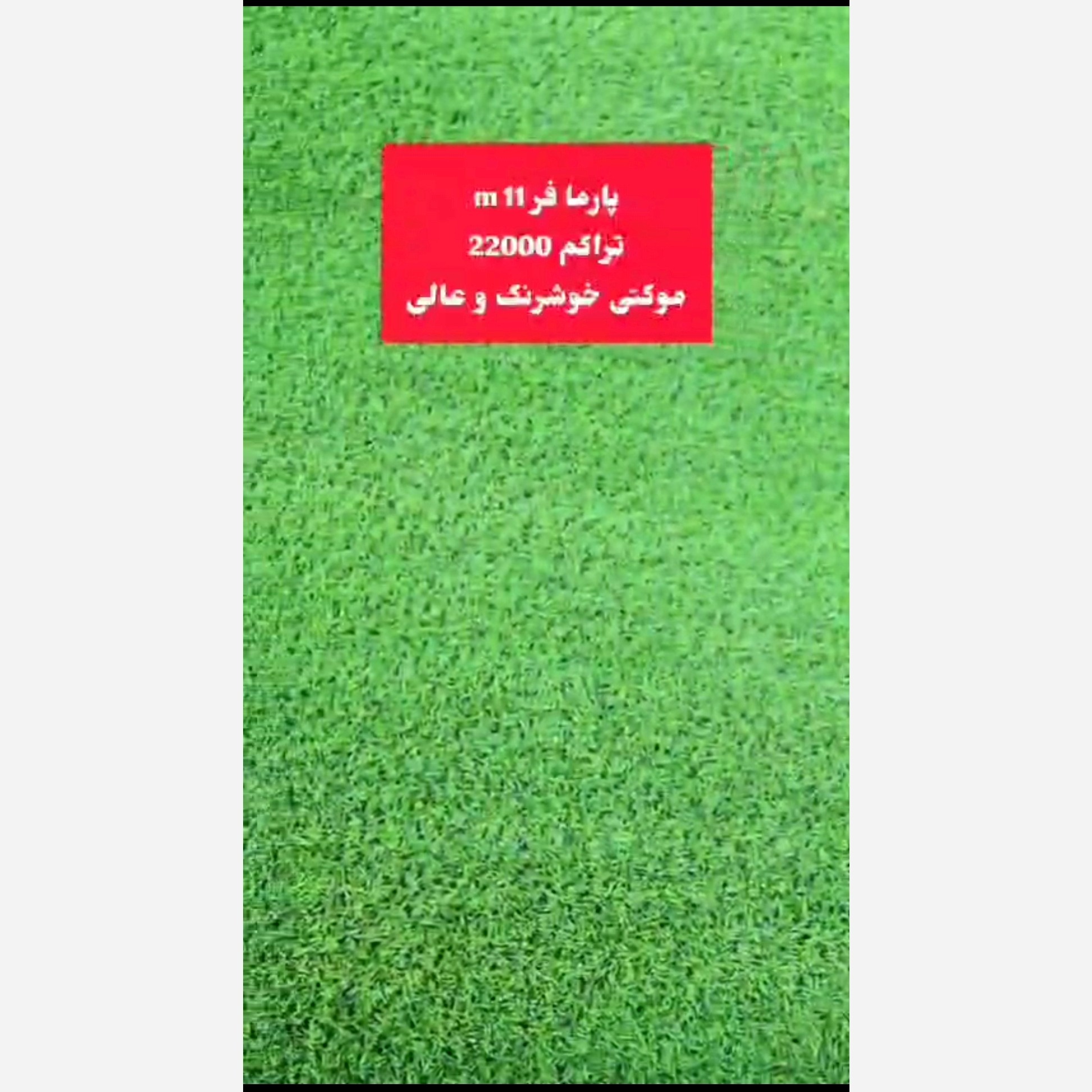 چمن مصنوعی پارما فر 11میل تراکم 22000 موکتی خوشرنگ و عالی(پسکرایه)