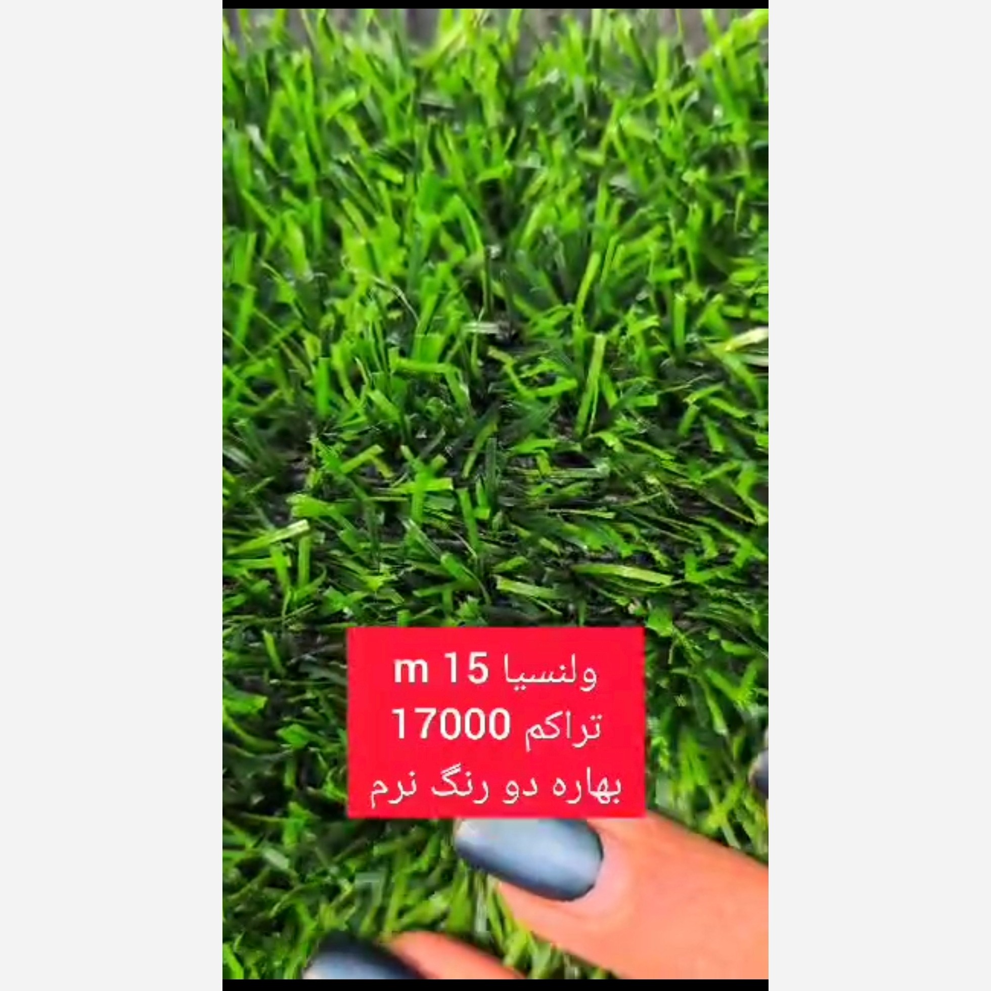 چمن مصنوعی والنسیا 15میل بهاره تراکم 17000 دو رنگ(پسکرایه)