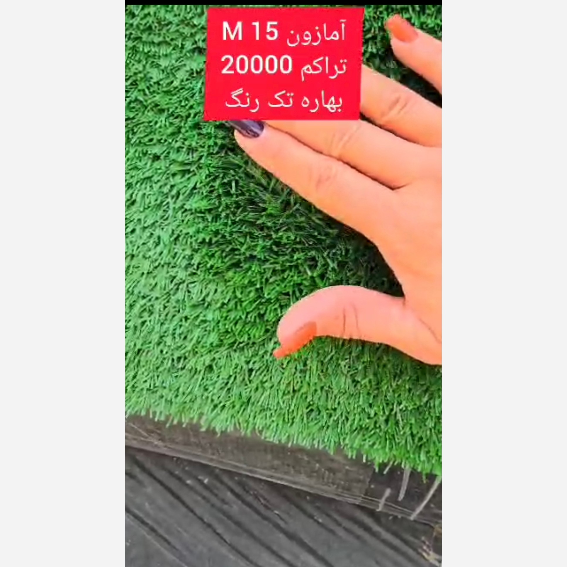 چمن مصنوعی آمازون 15میل بهاره تراکم 20000 تک رنگ (پس کرایه)