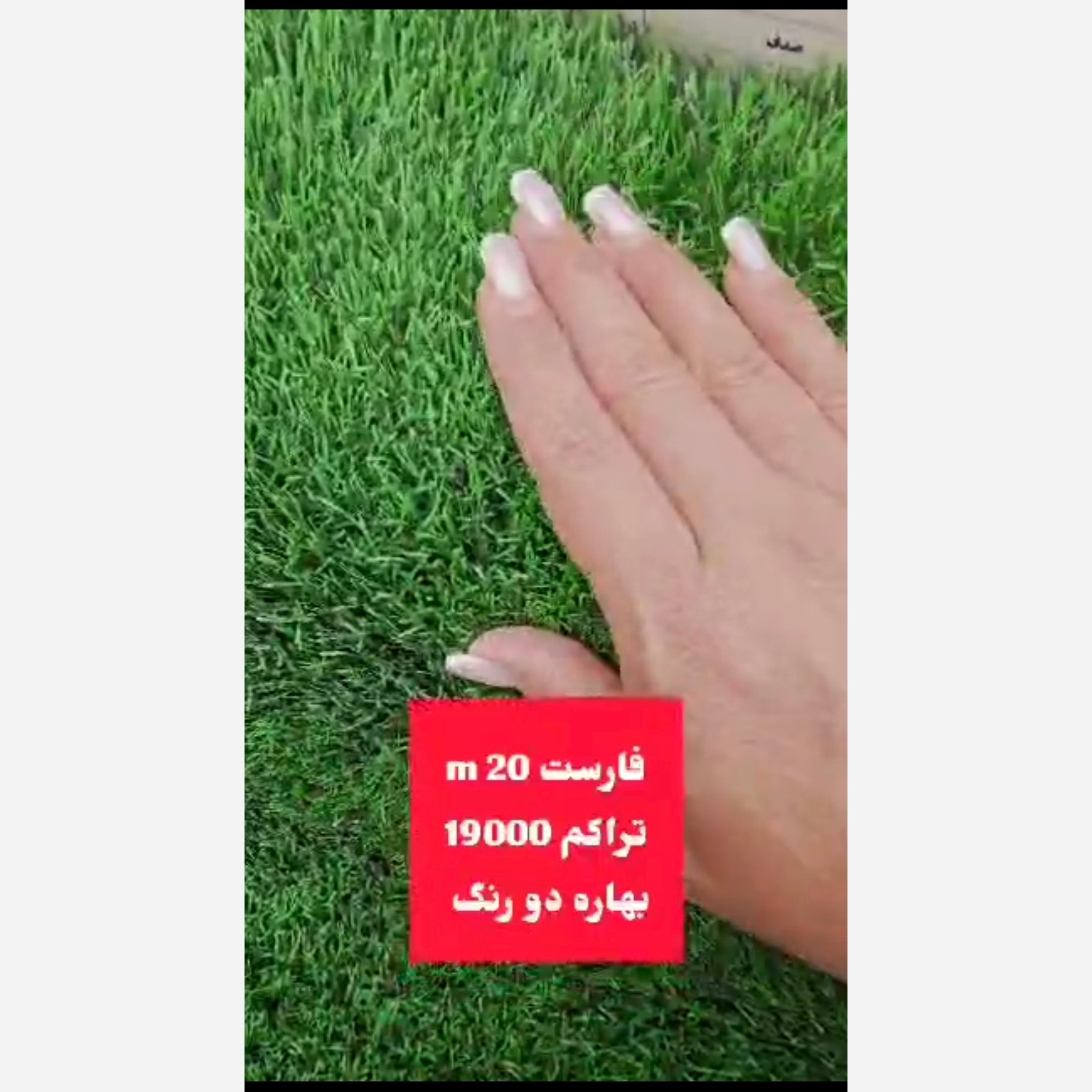 چمن مصنوعی فارست بهاره 20میل تراکم 19000 دو رنگ (پس کرایه)