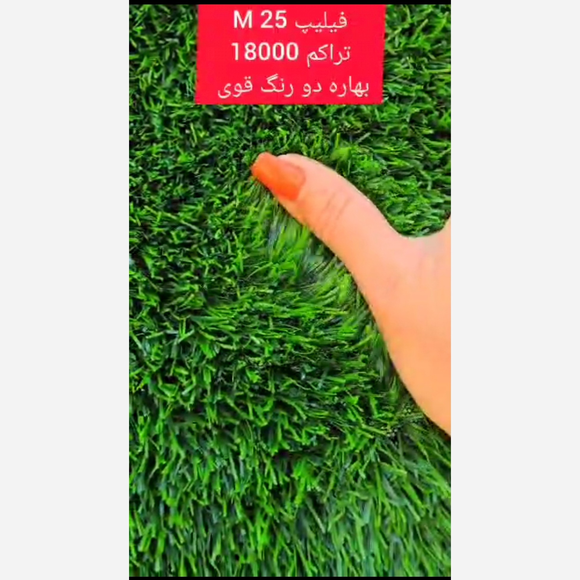 چمن مصنوعی فیلیپ بهاره 25میل تراکم 18000 دو رنگ قوی (پس کرایه)