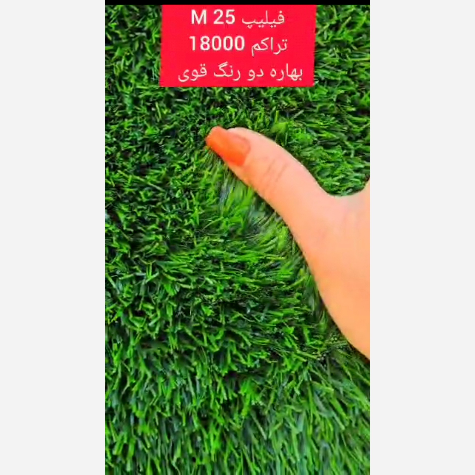 چمن مصنوعی فستیوال بهاره 25میل تراکم 18000 دو رنگ قوی (پسکرایه)