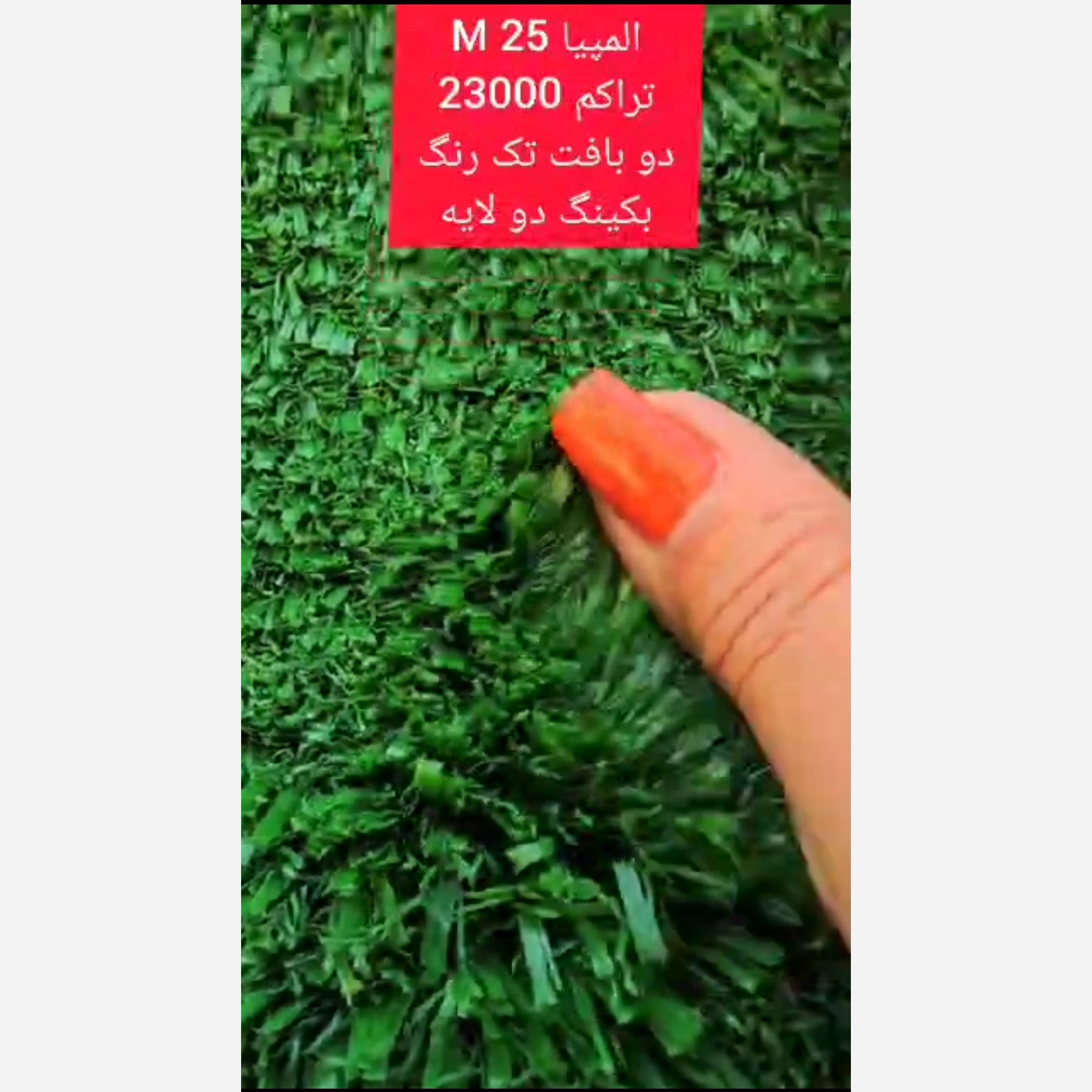 چمن مصنوعی المپیا 25میل تراکم 23000 دوبافت تک رنگ بکینگ دولایه (پس کرایه)