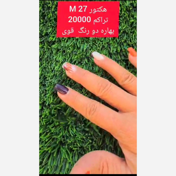 چمن مصنوعی هکتور بهاره 27میل تراکم 20000 الیاف دو رنگ قوی، بکینگ قوی (پس کرایه)
