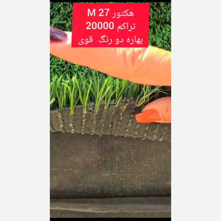 چمن مصنوعی هکتور بهاره 27میل تراکم 20000 الیاف دو رنگ قوی، بکینگ قوی (پس کرایه)