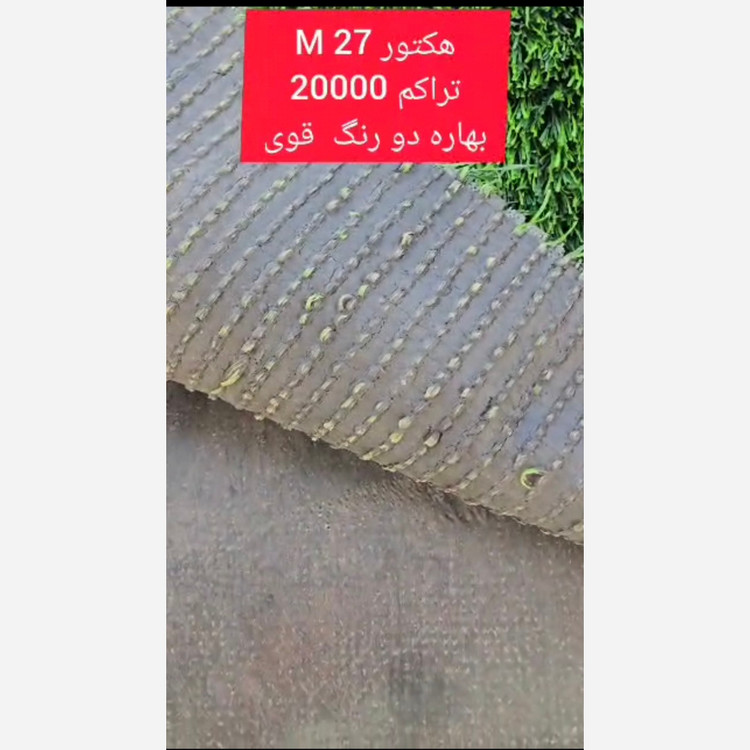 چمن مصنوعی هکتور بهاره 27میل تراکم 20000 الیاف دو رنگ قوی، بکینگ قوی (پس کرایه)