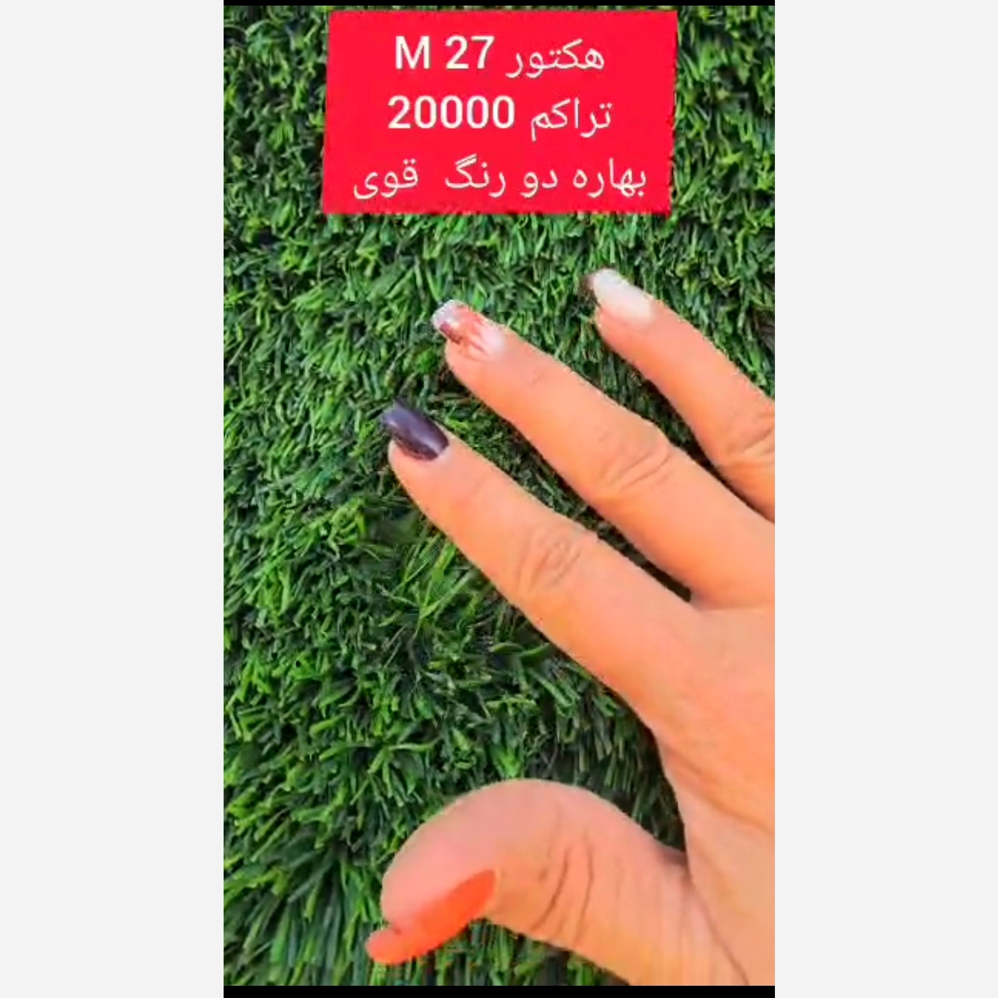 چمن مصنوعی هکتور بهاره 27میل تراکم 20000 الیاف دو رنگ قوی، بکینگ قوی (پس کرایه)